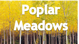 poplar meadows